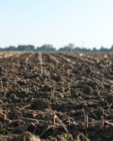 Soil Health service