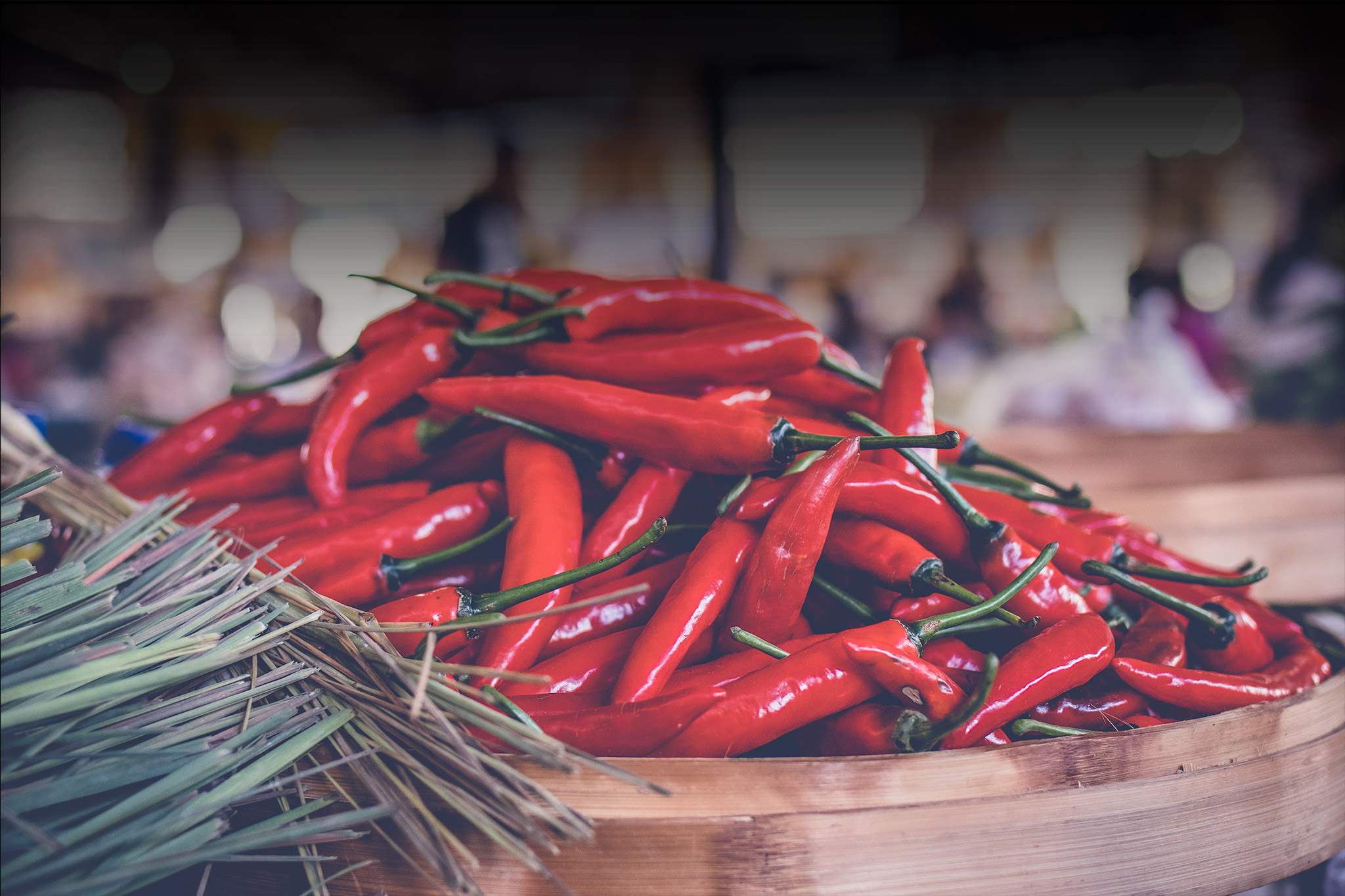 Chilli Drying